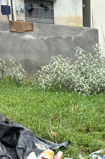 Khagaul Road Main Image 1