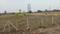 Chinchbhuwan Plot View 2