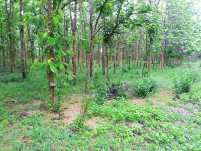 Image of 1944 Sq.ft Residential Plot / Land for sale in Pallakadiyam, Rajahmundry for Rs. 1458000