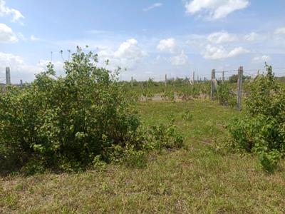 Residential Plot