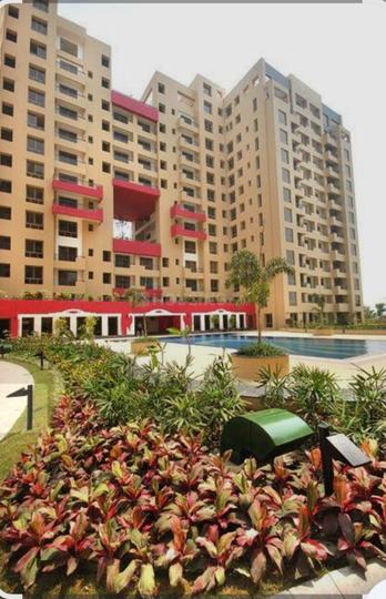 Ambuja Ujjwala Main Image 1