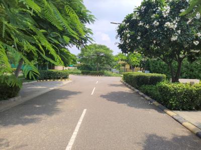 Image of 538 Sq.ft Residential Plot / Land for sale in DLF Alameda, Sector 73, Gurgaon for Rs. 177600000