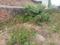 Brahm Nagar Main Image 1