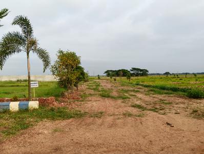 Image of 1741 Sq.ft Residential Plot / Land for sale in Krishna Vatika, Phulnakhara, Cuttack, Phulnakhara, Cuttack for Rs. 2100000