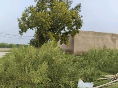 Image of 450 Sq.ft Residential Plot / Land for sale in SS Ayodhya Enclave, Dhoom Manikpur, Greater Noida for Rs. 1508000