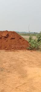 Bhagawanpur Plot View 2