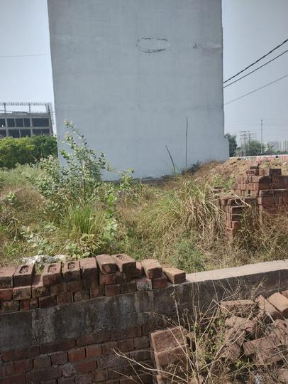 Maincha Main Image 1