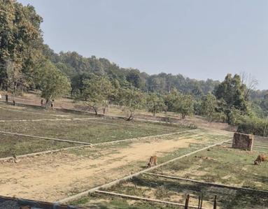 Kandhauli Plot View 2
