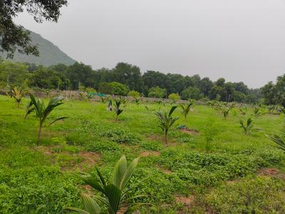Image of 4356 Sq.ft Residential Plot / Land for sale in Nunna, Vijayawada for Rs. 1750000