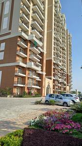 Image of 1775 Sq.ft 3 BHK Apartment / Flat for sale in Mullanpur Garibdass, Chandigarh for Rs. 13500006