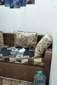 Image of 500 Sq.ft 2 BHK Apartment / Flat for rent in Parel, Mumbai for Rs. 35000
