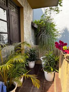 Balcony Image of 2400 Sq.ft 2 BHK Builder Floor for rent in DLF City Phase 1, DLF Phase 1 Gurgaon for Rs. 55000