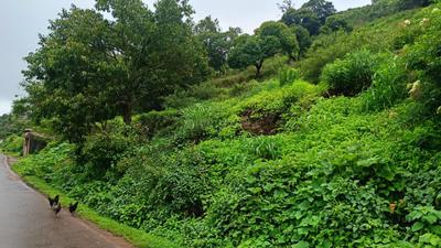 Image of 3000 Sq.ft Residential Plot / Land for sale in Panchgani, Mahabaleshwar for Rs. 60000000