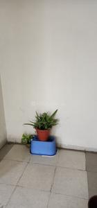 Balcony Image of 400 Sq.ft 1 RK Apartment / Flat for sale in Amanora Park Town, Hadapsar Pune for Rs. 450000