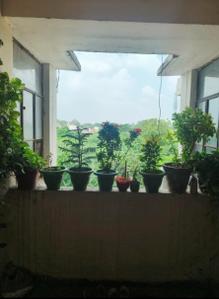 Balcony Image of 450 Sq.ft 1 BHK Apartment / Flat for sale in Munnu Khera Lucknow for Rs. 1690000