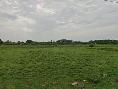 Image of 800 Sq.ft Residential Plot / Land for sale in Paranur, Chennai for Rs. 1199236