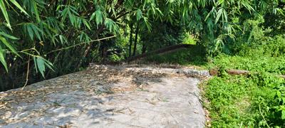 Image of 1629 Sq.ft Residential Plot / Land for sale in Anarwala, Dehradun for Rs. 5430000