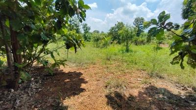 Image of 31968 Sq.ft Residential Plot / Land for sale in Kothavalasa, Visakhapatnam for Rs. 14800000