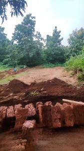 Chandaka Plot View 2