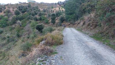 Image of 500 Sq.ft Residential Plot / Land for sale in Kufri, Shimla for Rs. 2500000