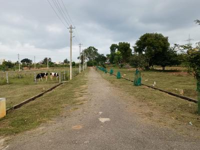 Image of 1163 Sq.ft Residential Plot / Land for sale in Maratikyatana Halli, Mysore for Rs. 3600000