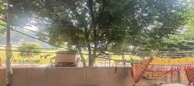 Balcony Image of 720 Sq.ft 2 BHK Builder Floor for rent in Tagore Garden Extension New Delhi for Rs. 30000