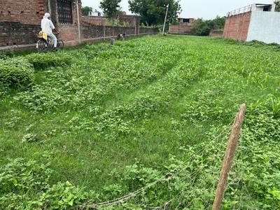 Image of 7642 Sq.ft Residential Plot / Land for sale in Korrha Nobarar, Chhapra for Rs. 10000000