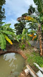 Image of 10890 Sq.ft Residential Plot / Land for sale in Varapuzha, Kochi for Rs. 25000000