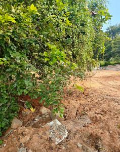 Image of 1200 Sq.ft Residential Plot / Land for sale in Lal Bahadur Shastri Nagar, Bengaluru for Rs. 15600000