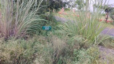 Image of 239 Sq.ft Residential Plot / Land for sale in Sector 25 YEIDA, Greater Noida for Rs. 17900000