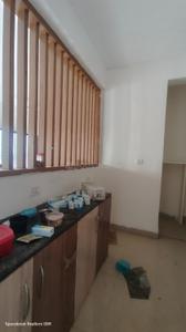 Kitchen Image of 1590 Sq.ft 3 BHK Apartment / Flat for rent in Radhika Infraestate RIPL Maple Tree, Ayodhya Bypass Bhopal for Rs. 17500
