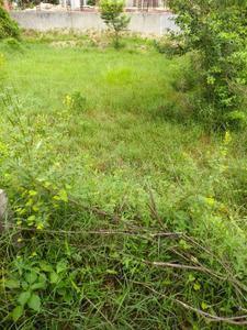 Image of 134 Sq.ft Residential Plot / Land for sale in Pallavpuram, Meerut for Rs. 6432000