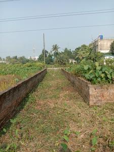 Image of 1632 Sq.ft Residential Plot / Land for sale in Bagdoba, Kolkata for Rs. 3500000