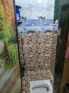 Bathroom Image of 350 Sq.ft 1 BHK Apartment / Flat for sale in Mudhra Sai Tirth, Thane East Thane for Rs. 7000000