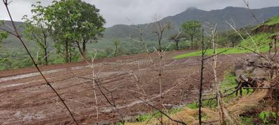 Image of 1000 Sq.ft 1 RK Farm House for sale in Khed Shivapur, Pune for Rs. 700000