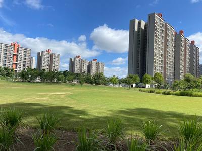 Image of 1530 Sq.ft 3 BHK Apartment / Flat for sale in Lodha Panache Phase 1, Hinjawadi, Pune for Rs. 16000000
