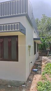 Image of 850 Sq.ft 2 BHK Independent House for rent in Chempazhanthy, Thiruvananthapuram for Rs. 12000