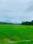 Platinum Township Main Image 1