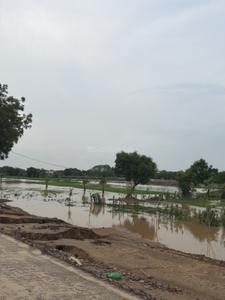 Image of 147 Sq.ft Residential Plot / Land for sale in Sector 98, Faridabad for Rs. 32200000