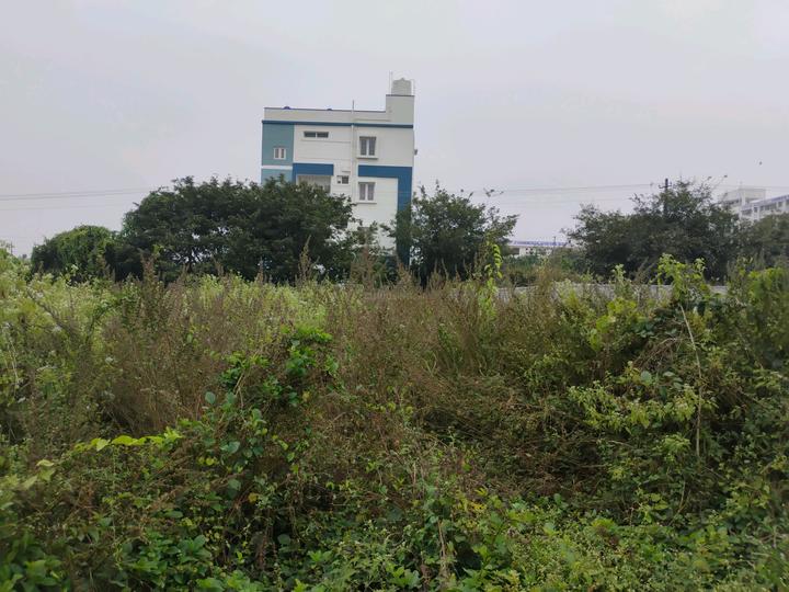 Hemmigepura Main Image 1