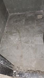 Bathroom Image of 650 Sq.ft 1 BHK Apartment / Flat for rent in Bliss County Phase I, Charholi Budruk Pune for Rs. 12000