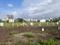 Wagholi Plot View 2