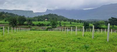 Image of 13000 Sq.ft Residential Plot / Land for sale in Kasara, Thane for Rs. 3250000