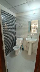 Bathroom Image of 1221 Sq.ft 2.5 BHK Apartment / Flat for rent in Amrapali Verona Heights, Noida Extension Greater Noida for Rs. 19000