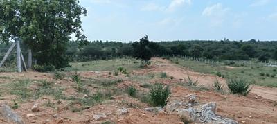 Image of 121 Sq.ft Residential Plot / Land for sale in Keesara, Secunderabad for Rs. 786500