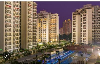 Image of 2800 Sq.ft 3 BHK Apartment / Flat for sale in TARC Maceo, Sector 91, Gurgaon for Rs. 19800000