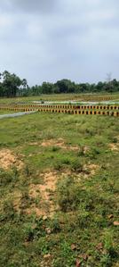 Bihta Plot View 2