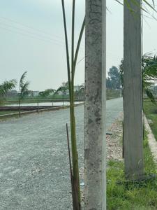 Image of 1450 Sq.ft Residential Plot / Land for sale in Babatpur, Varanasi for Rs. 4640000