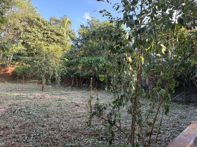 Image of 4356 Sq.ft Residential Plot / Land for sale in Velappaya, Killannur, Thrissur for Rs. 5750000