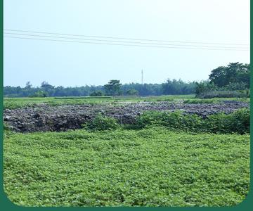 Image of 720 Sq.ft Residential Plot / Land for sale in Amtala, Kolkata for Rs. 325000